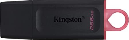 MEMORIA USB 256GB 3.2 KINGSTON DTXM/256GB