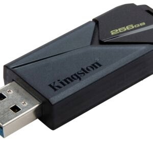 MEMORIA USB 256GB 3.2 KINGSTON DTXON/256GB